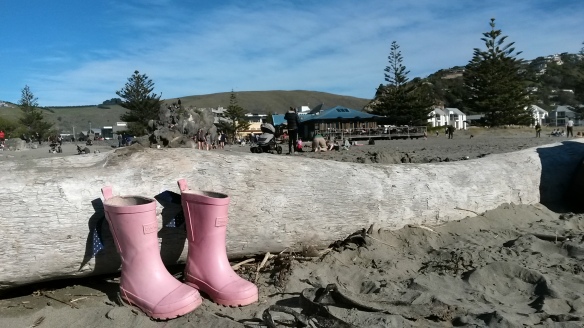 Instead of the Pale Green Pants with Nobody Inside Them, we have the Bright Pink Gumboots with Nobody Inside Them.  The kids are amazingly cold tolerant when it comes to winter beach water, and Naomi decided that no boots were better than wet boots after a surprise wave filled them with water.